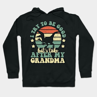 I Try To Be Good But I Take After My Grandma Dinosaur Gifts Hoodie